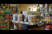Photo from Central Pet - Boarding and Day time Activities for your Dog or Cat